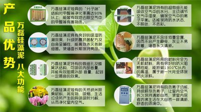 性能優(yōu)異的硅藻泥應(yīng)該擁有的5個(gè)特點(diǎn)